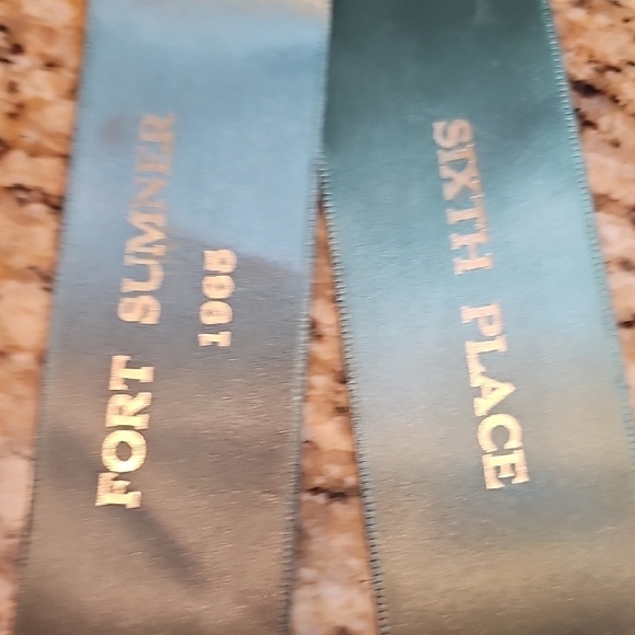 5 Vintage original 1965 1966 Horse Show Rosettes Fort Sumner NM ribbons winners - Picture 10 of 16